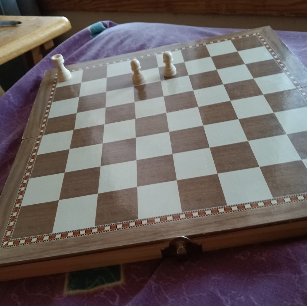 Chess & backgammon board case